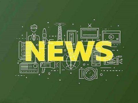 שם כל חלק של סיכת פוגו