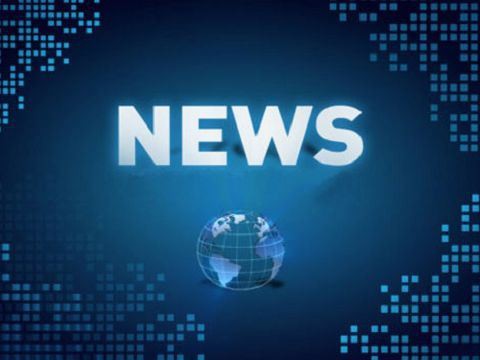 הרכב ופונקציה של סיכת הפוגו