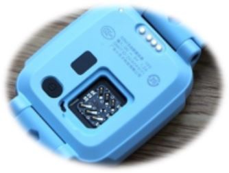 היכרות עם פין פוגו מנירוסטה